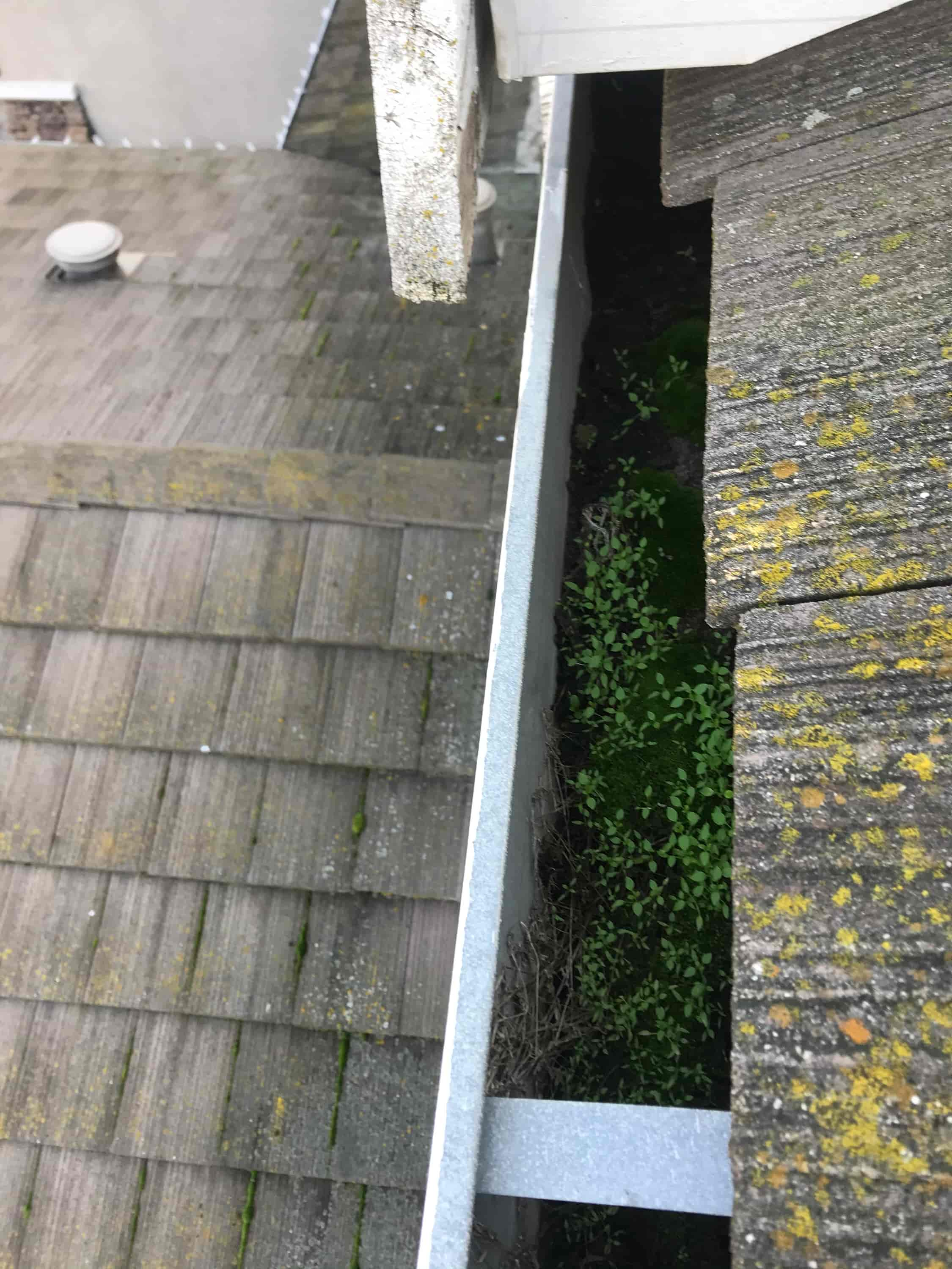 gutter cleaning fluid