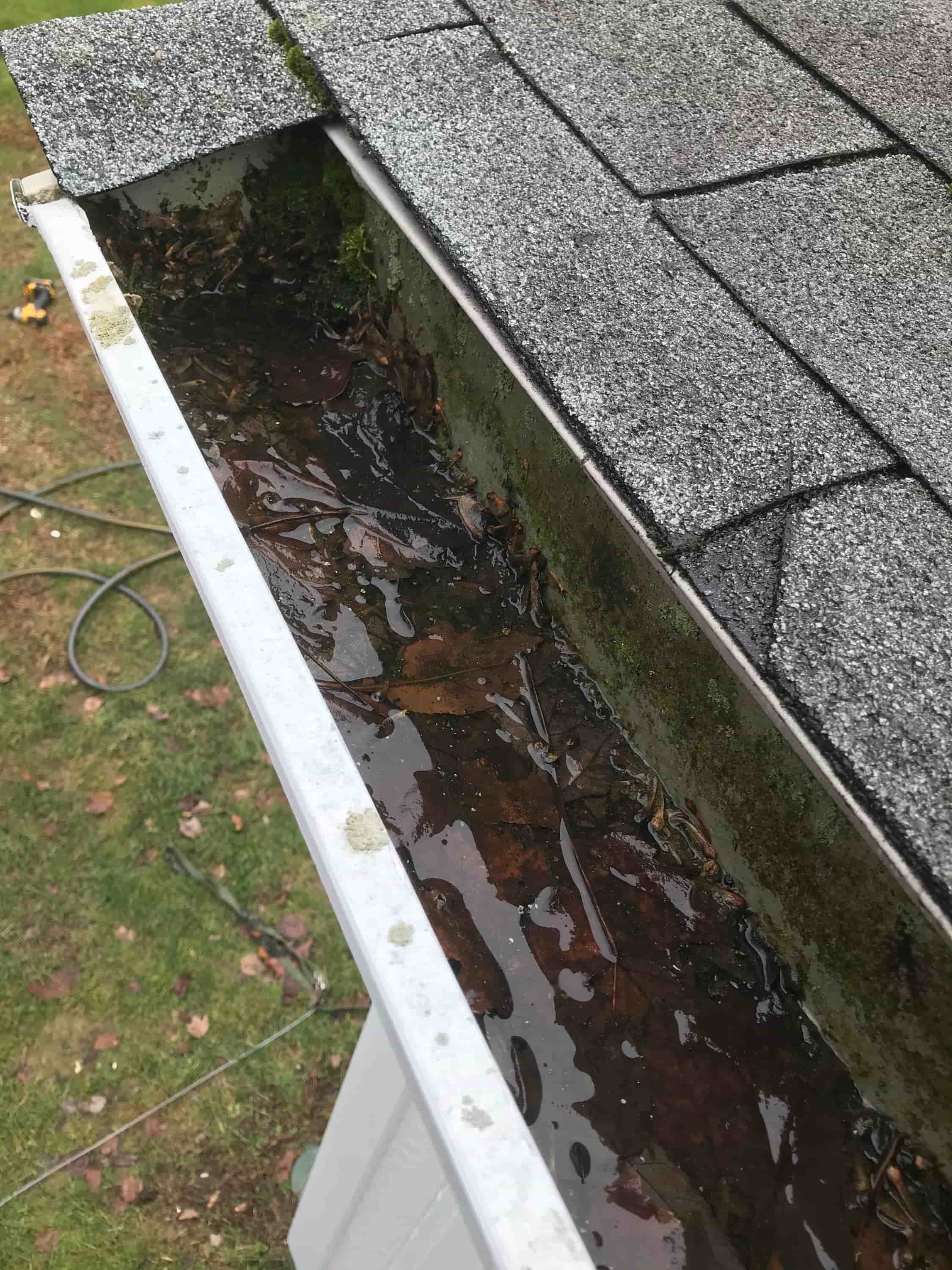 using leaf blower to clean gutters