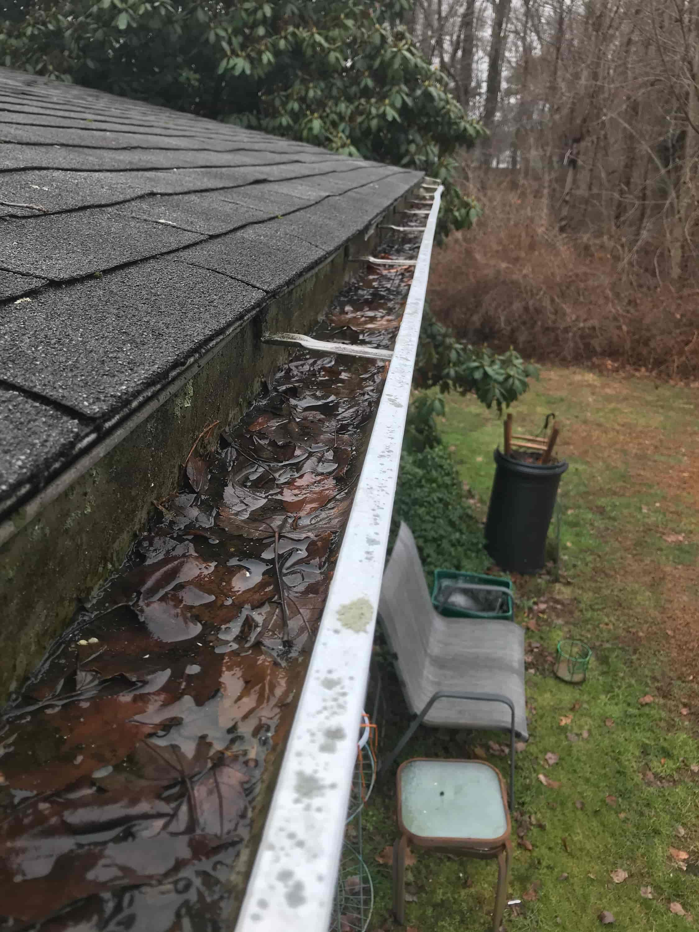 roof and gutter guys