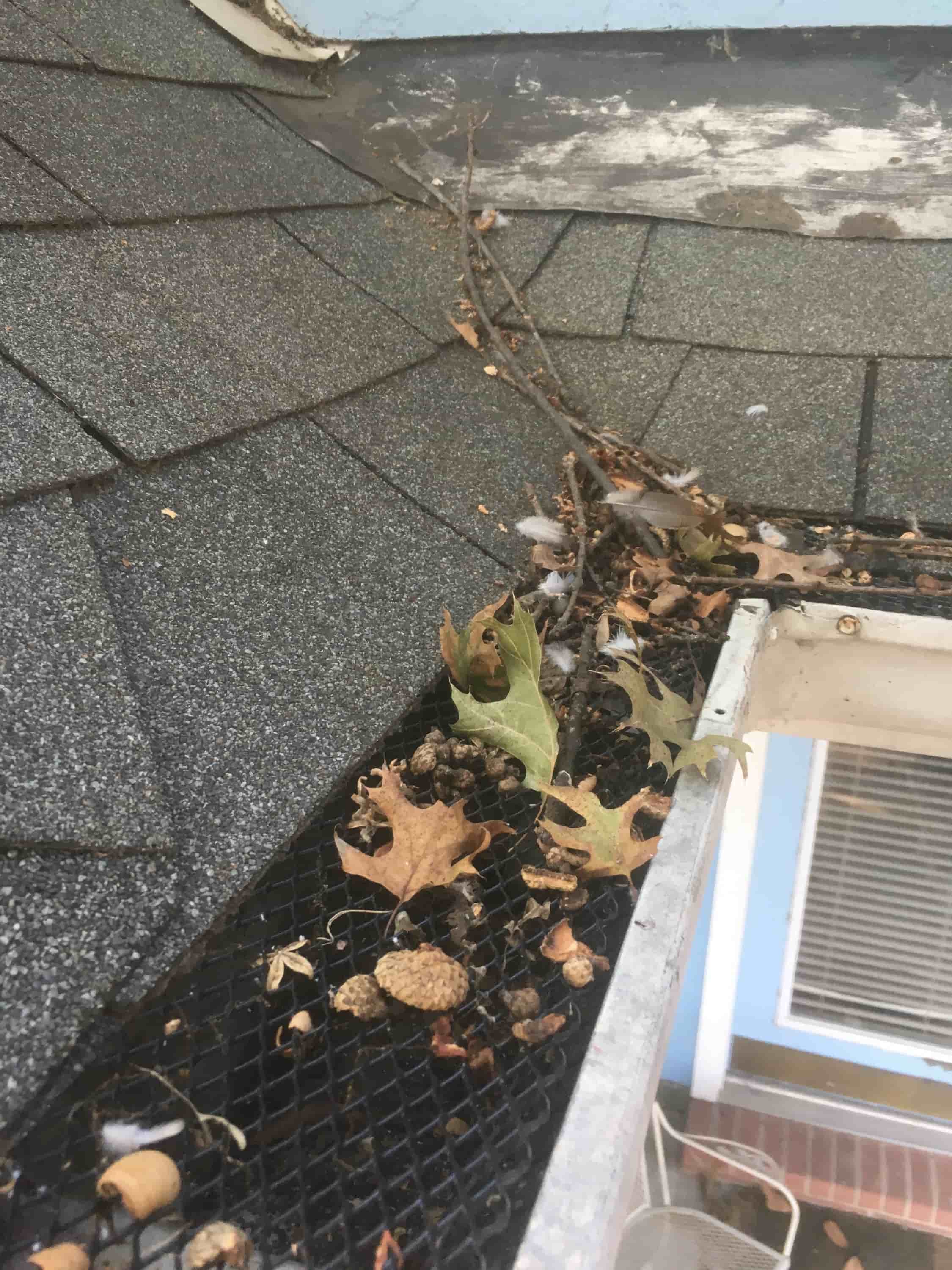window and gutter cleaning near me
