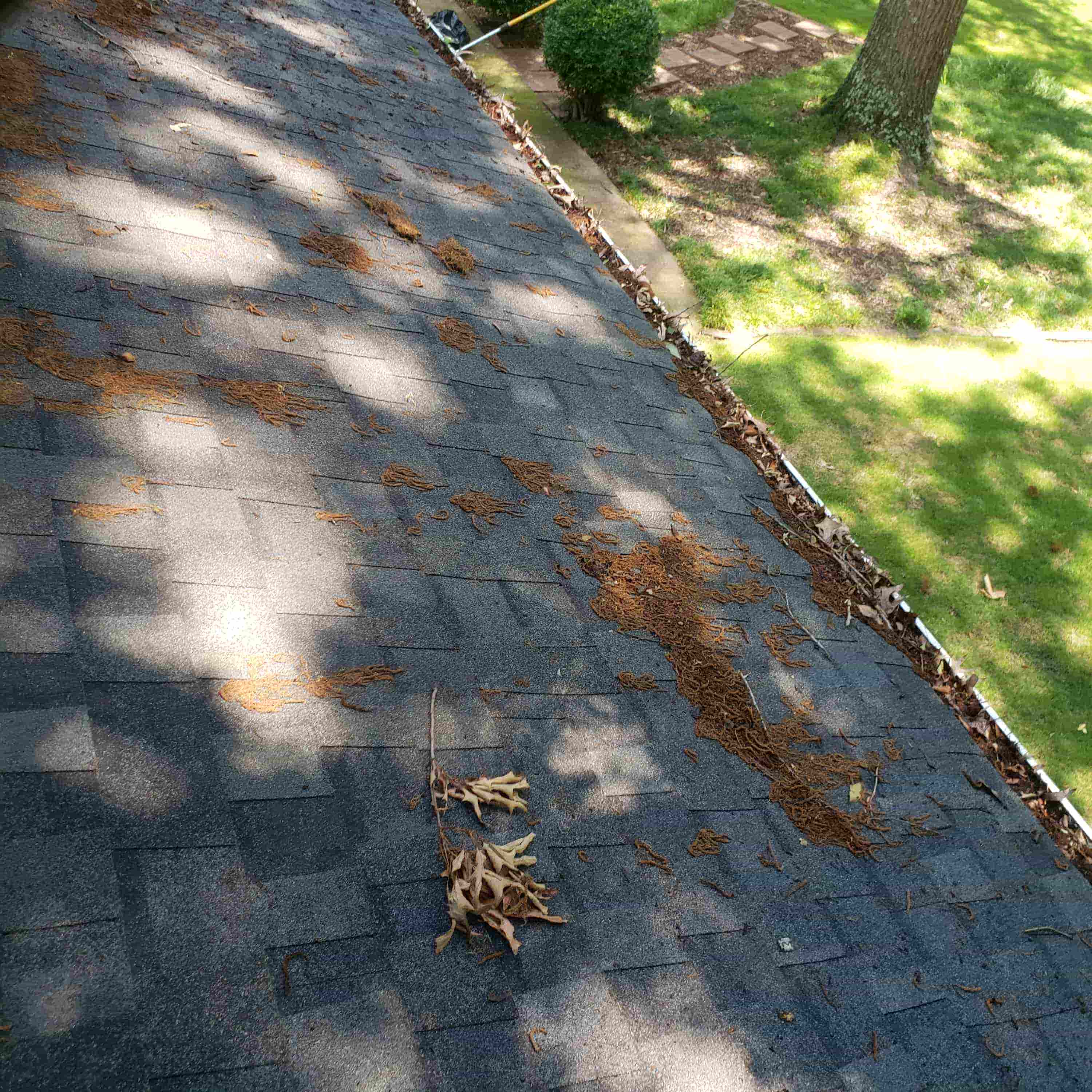 gutter cleaning repair