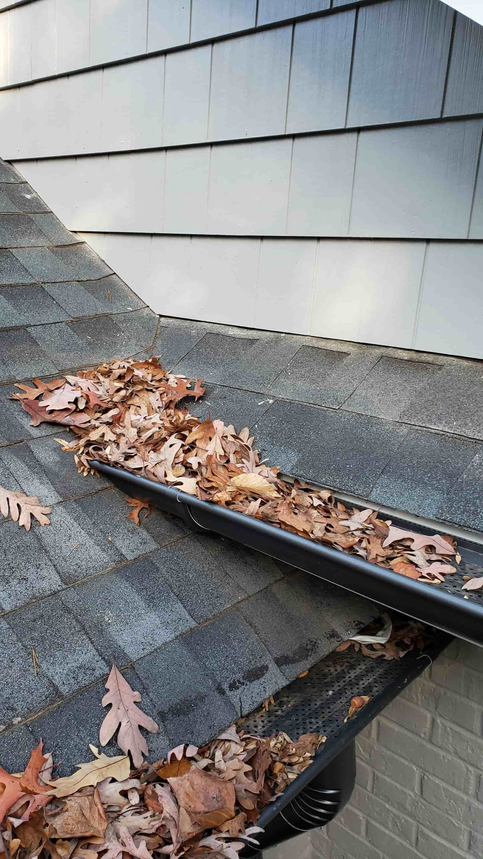 gumtree gutter cleaning