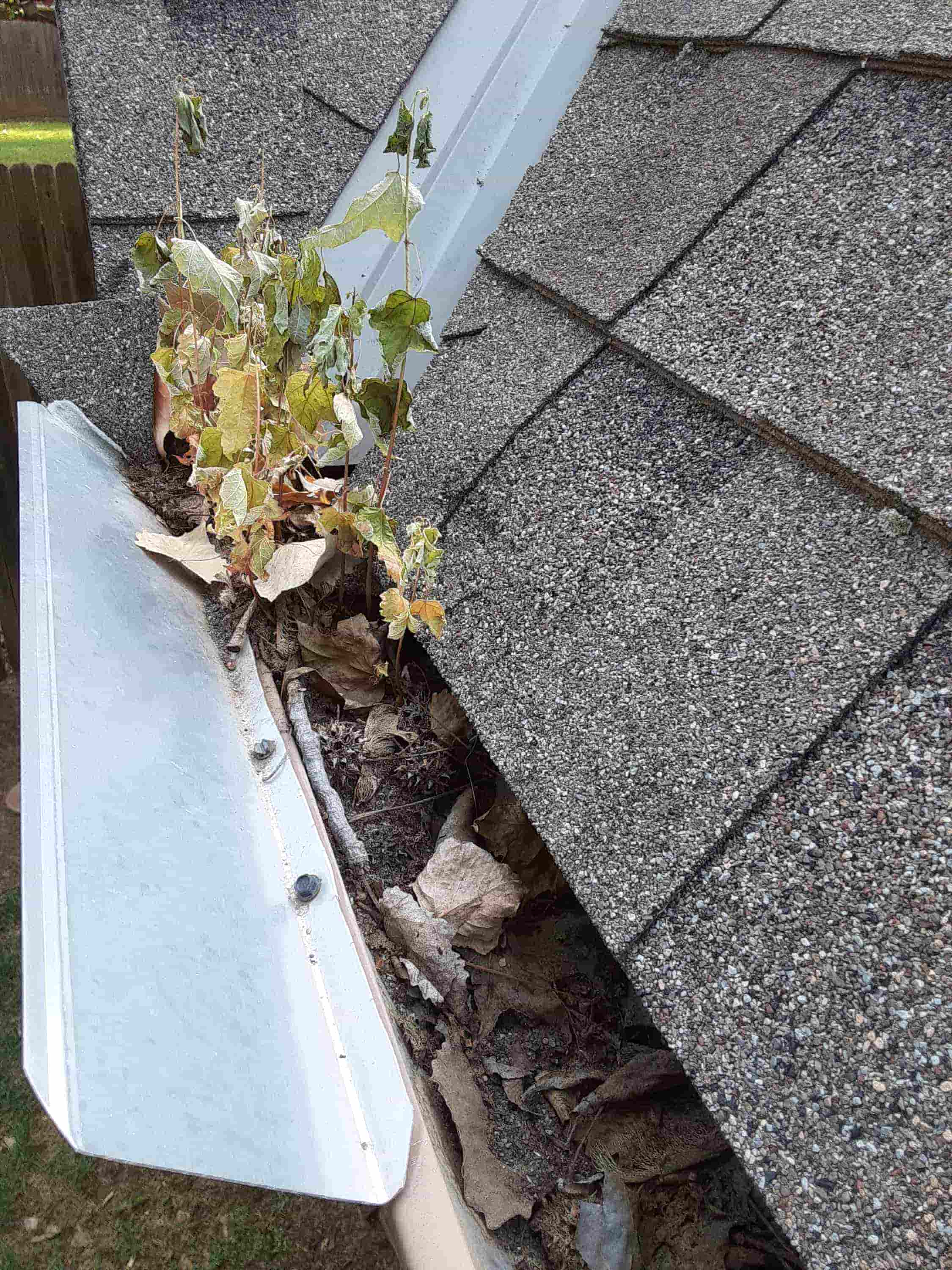 clean outside of gutters