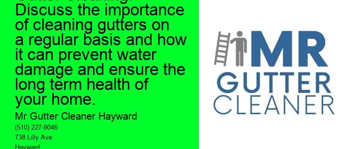 Benefits of Regular Gutter Cleaning: Discuss the importance of cleaning gutters on a regular basis and how it can prevent water damage and ensure the long term health of your home.
