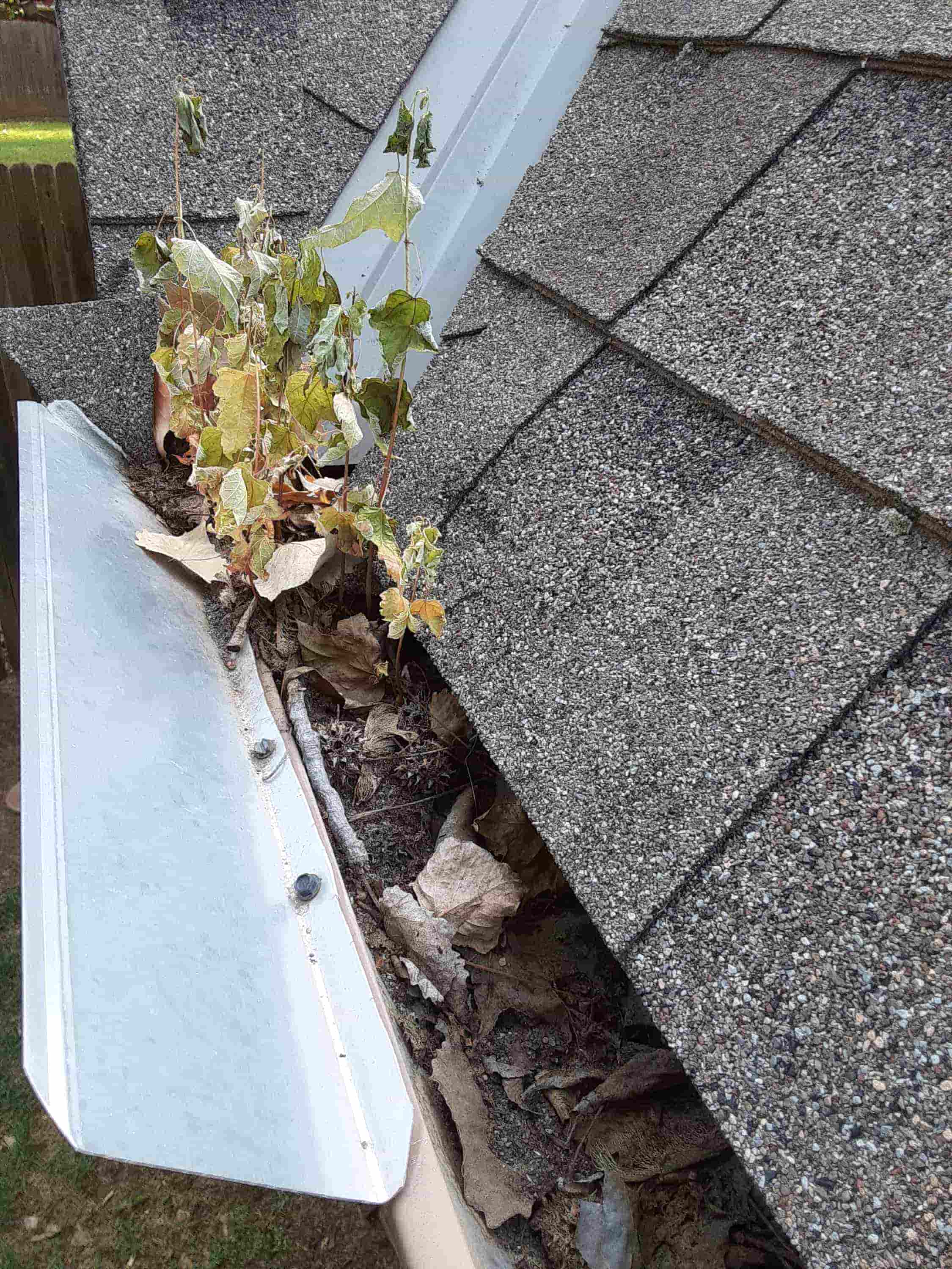 cleaning outside of gutters