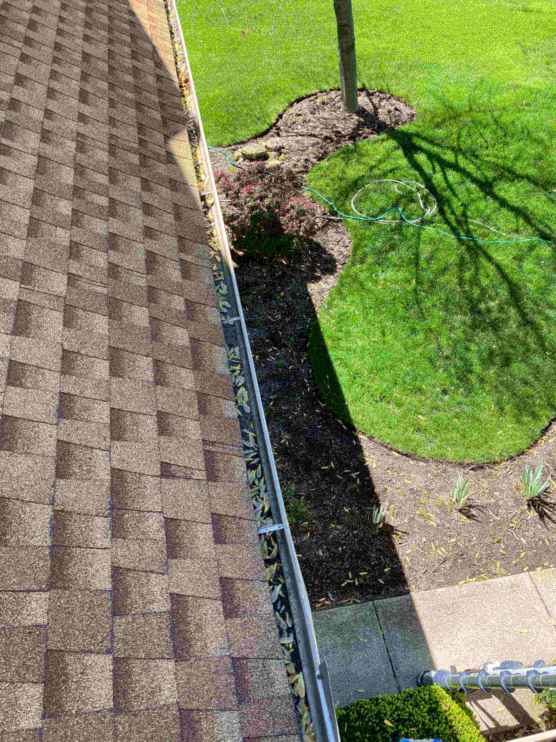 roof and gutter cleaning cost