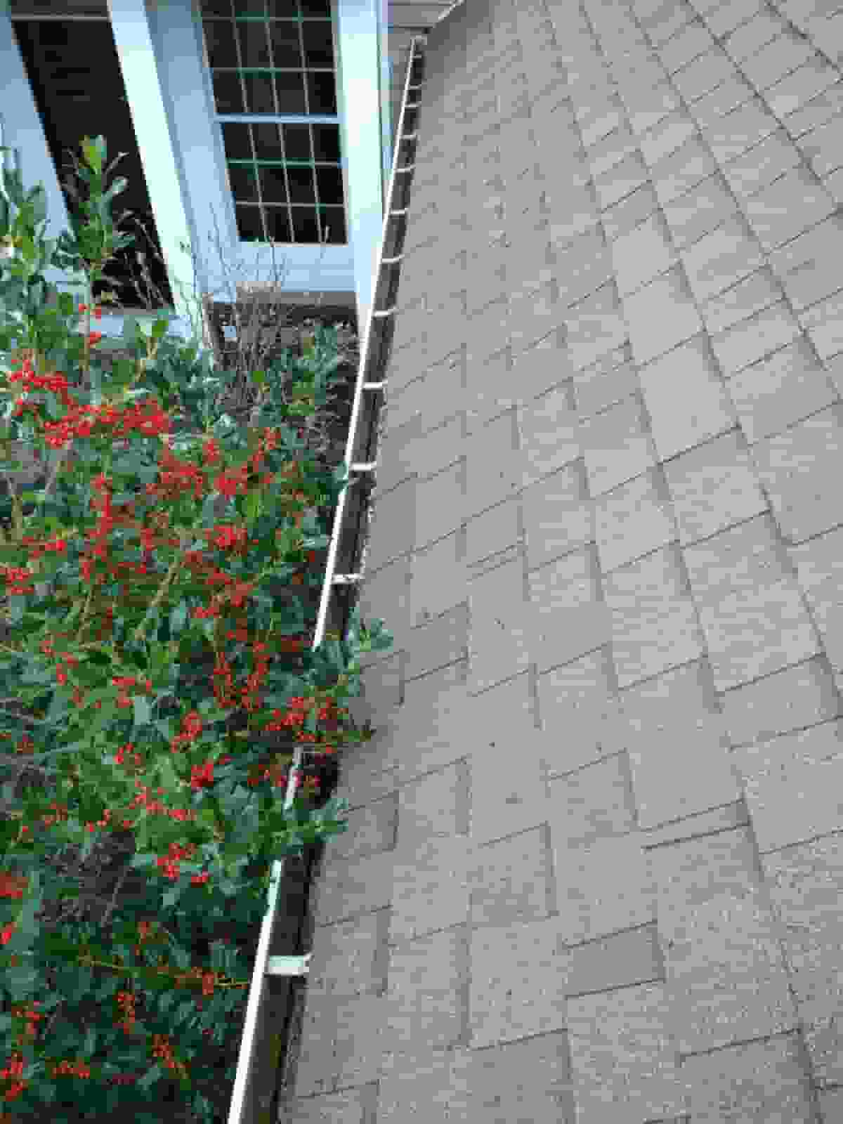 gutter cleaning tips