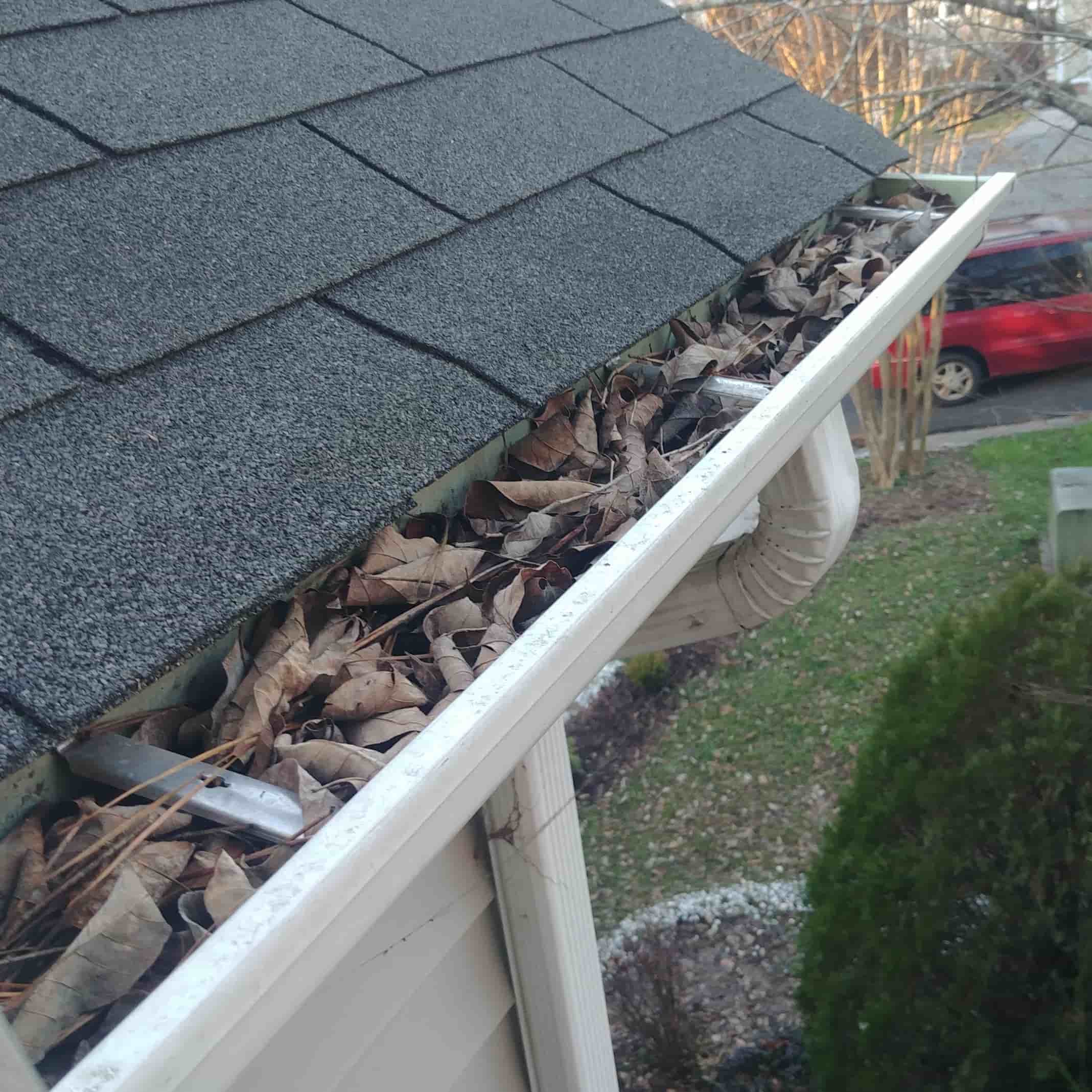 blowing leaves off roof