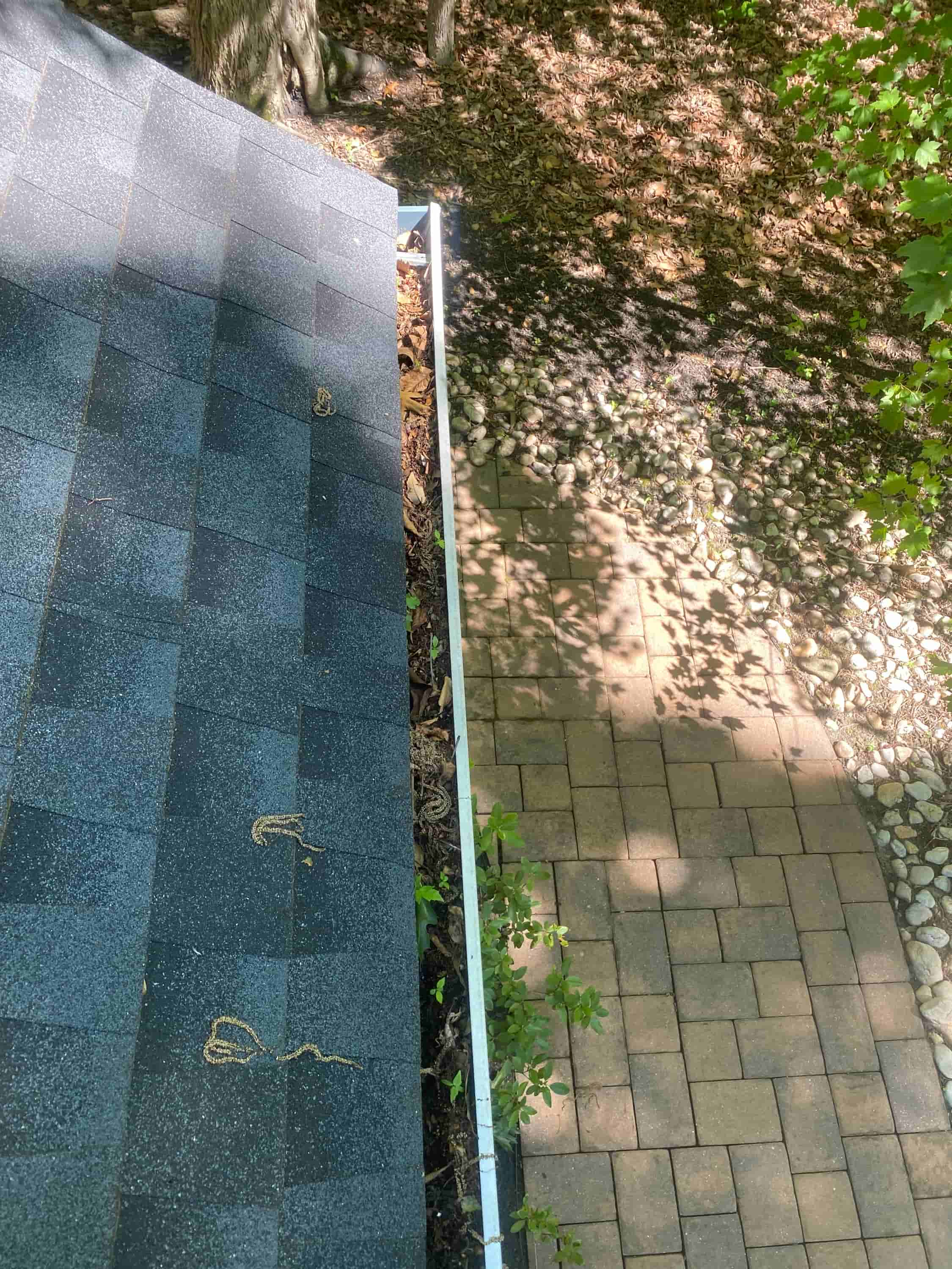 national gutter cleaning