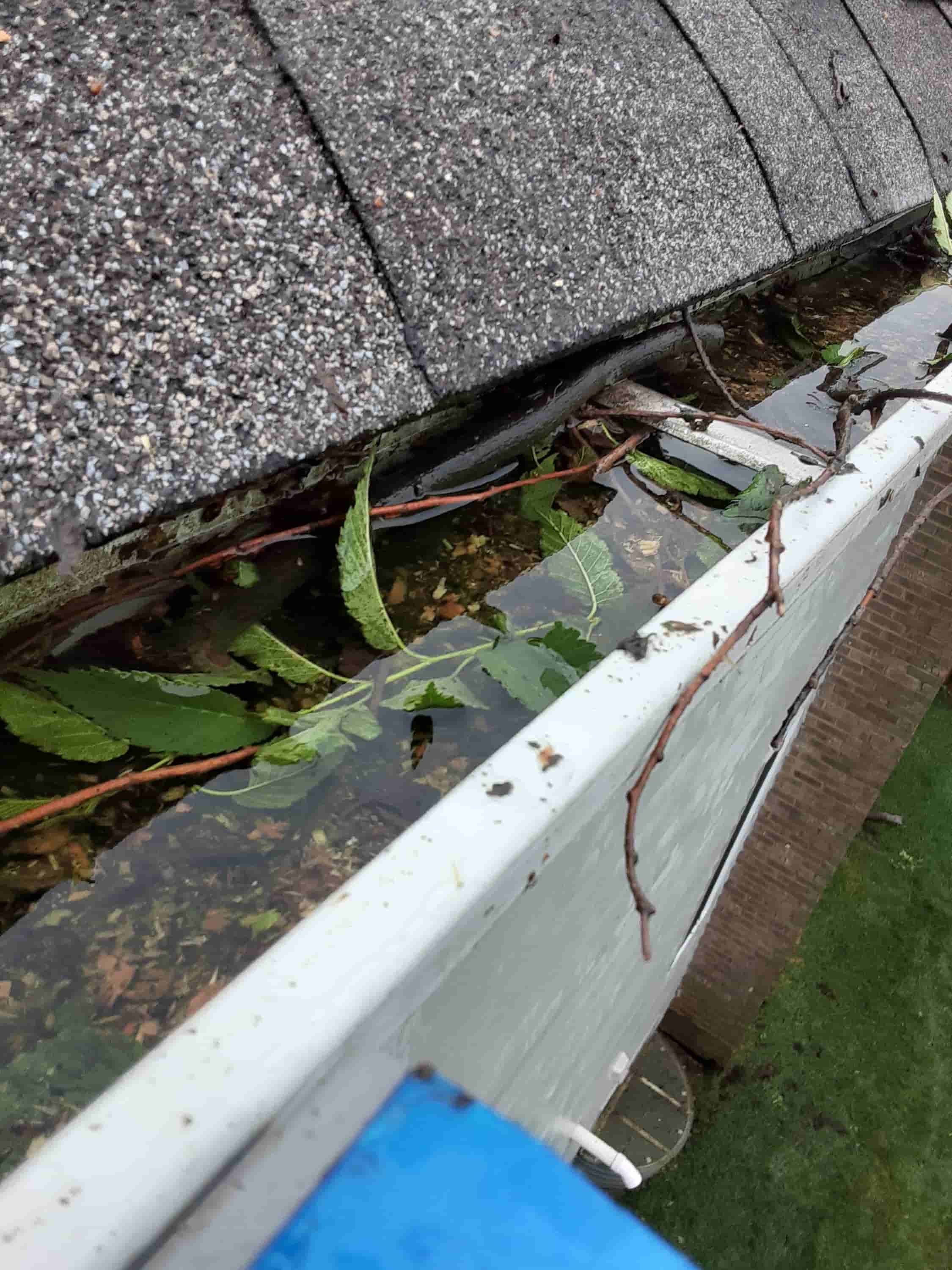 gutter cleaning service