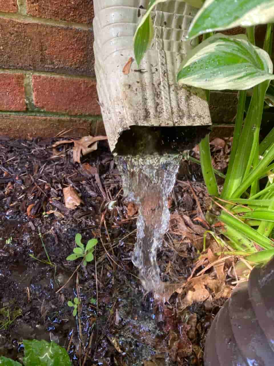 gutter cleaning from the ground