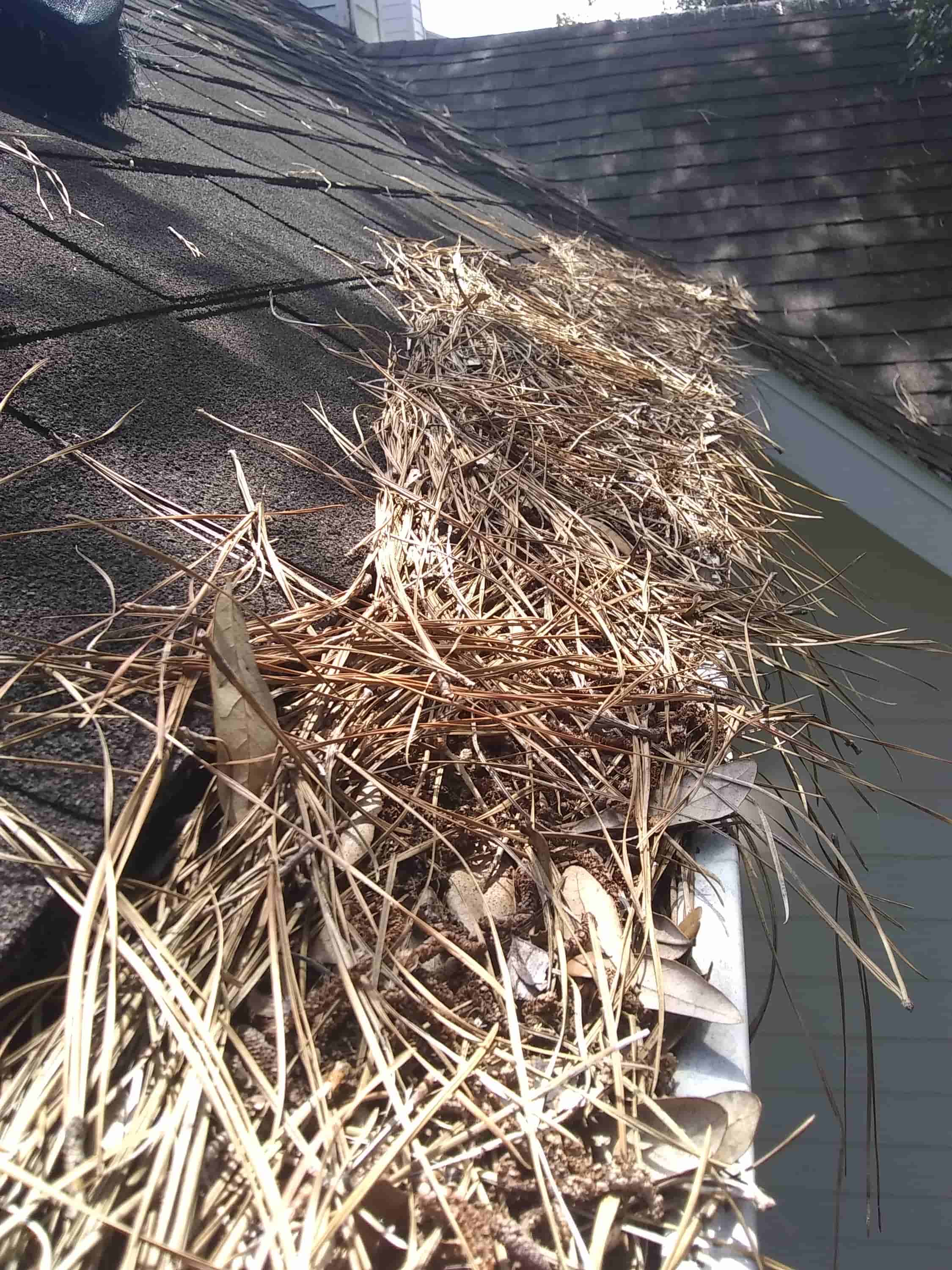 cleaning clogged gutters