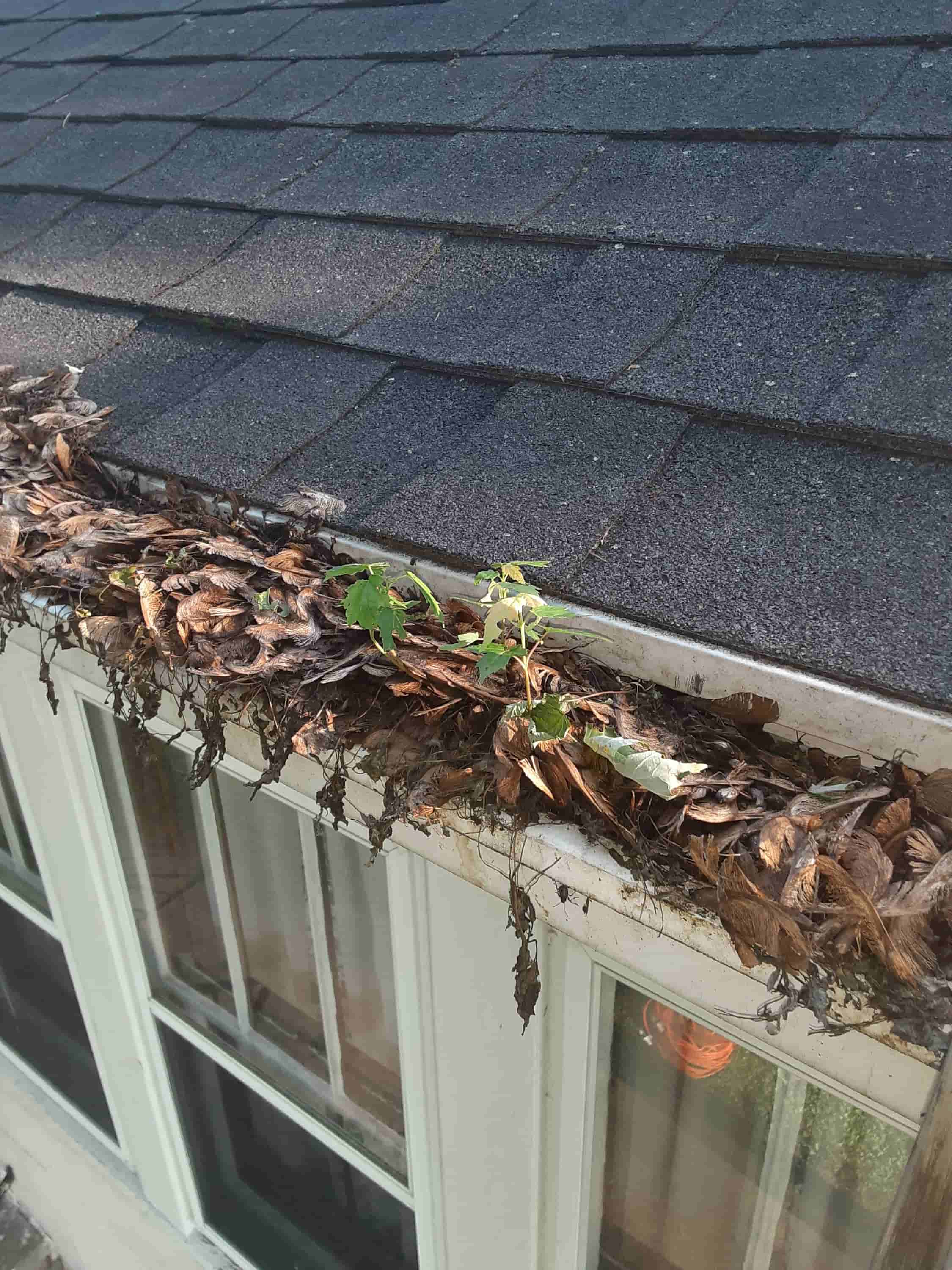 what to charge for gutter cleaning