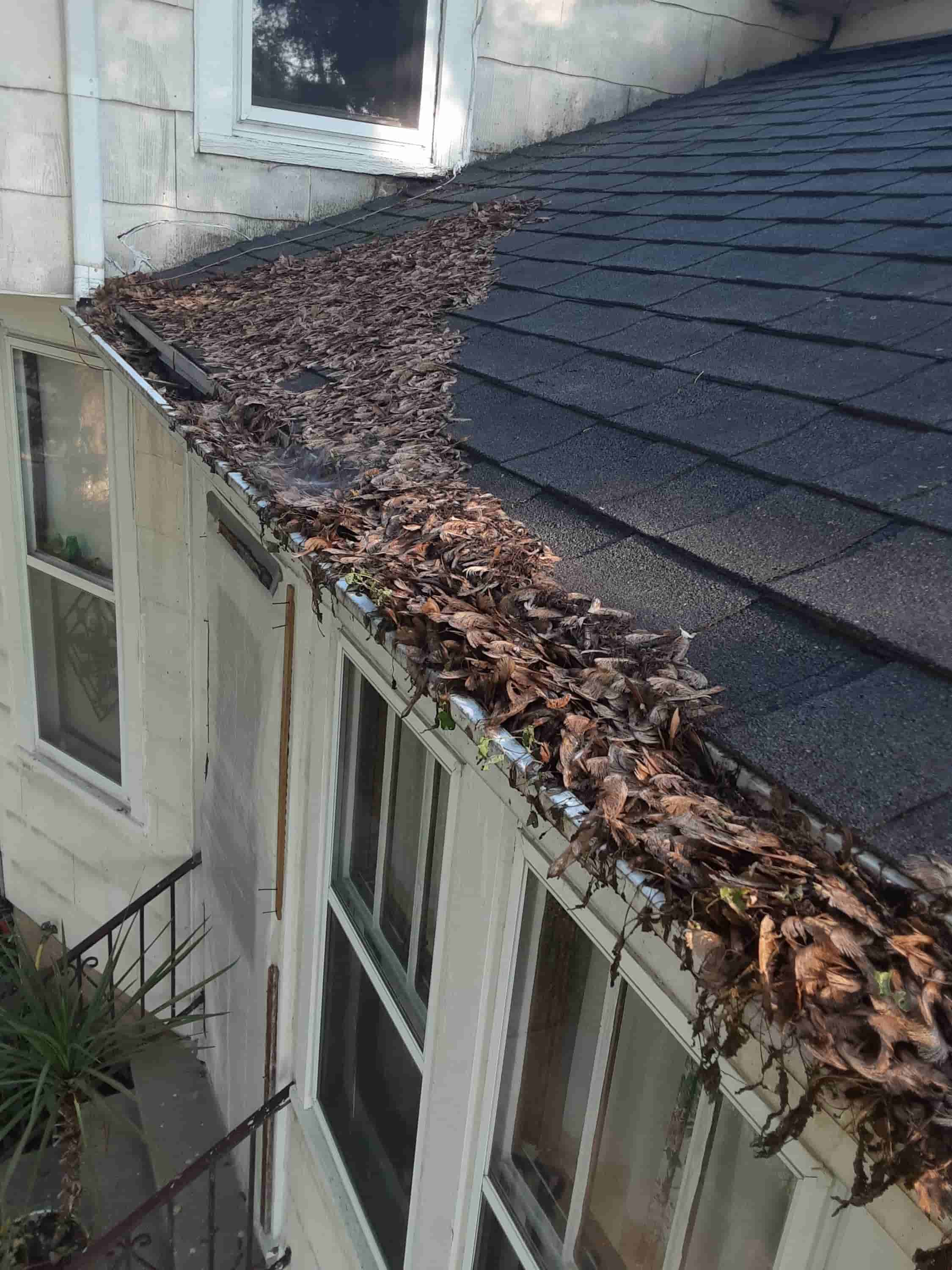 home gutter cleaning