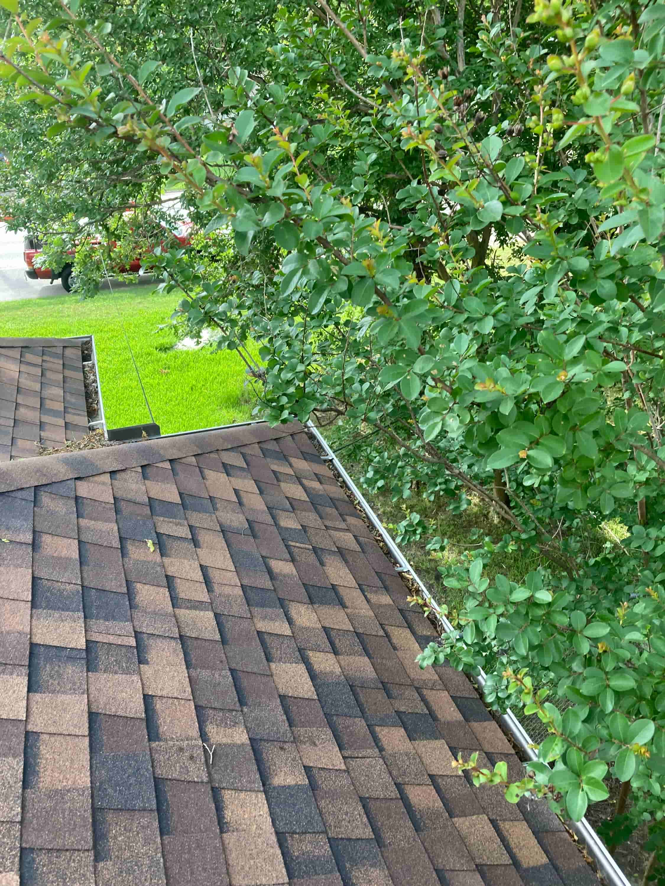 commercial gutter cleaning prices