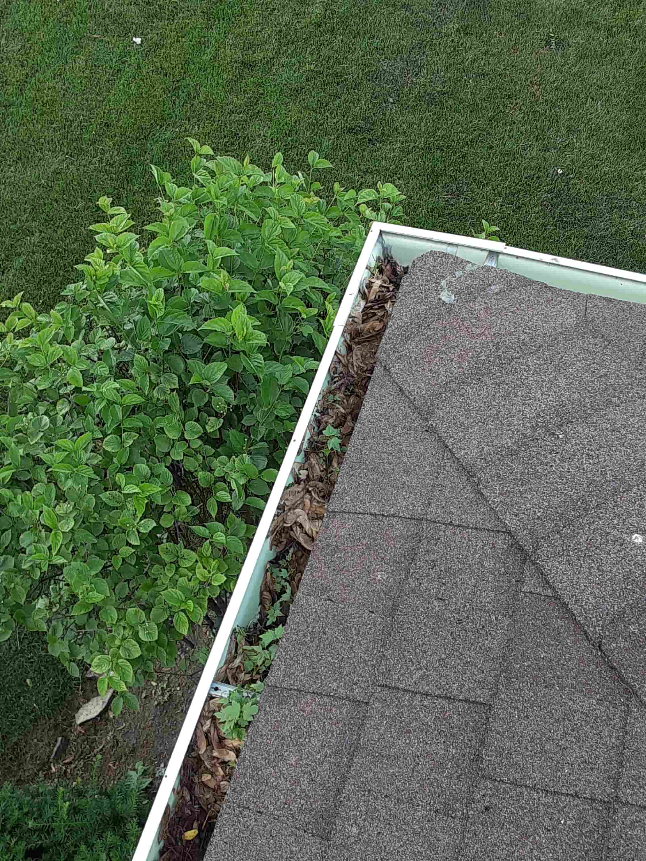 best way to clean out gutters