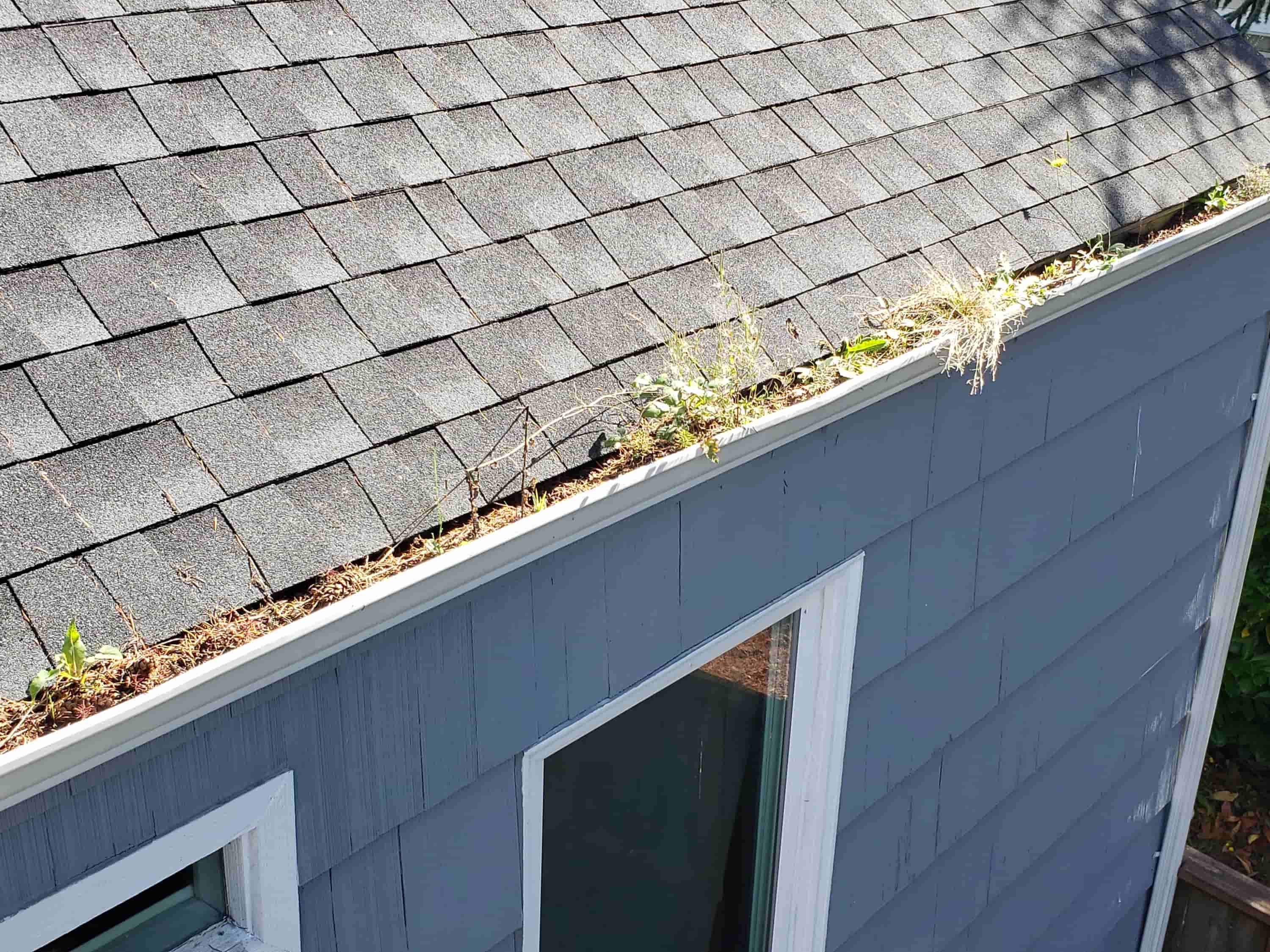 clean rain gutters