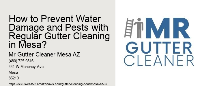 How to Prevent Water Damage and Pests with Regular Gutter Cleaning in Mesa? 