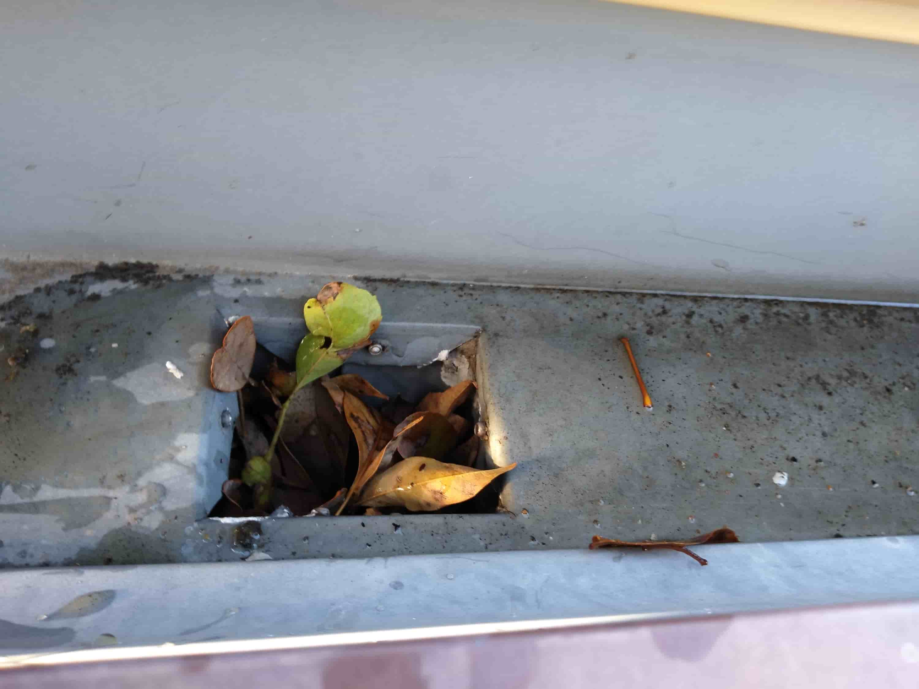 cleaning roof gutters