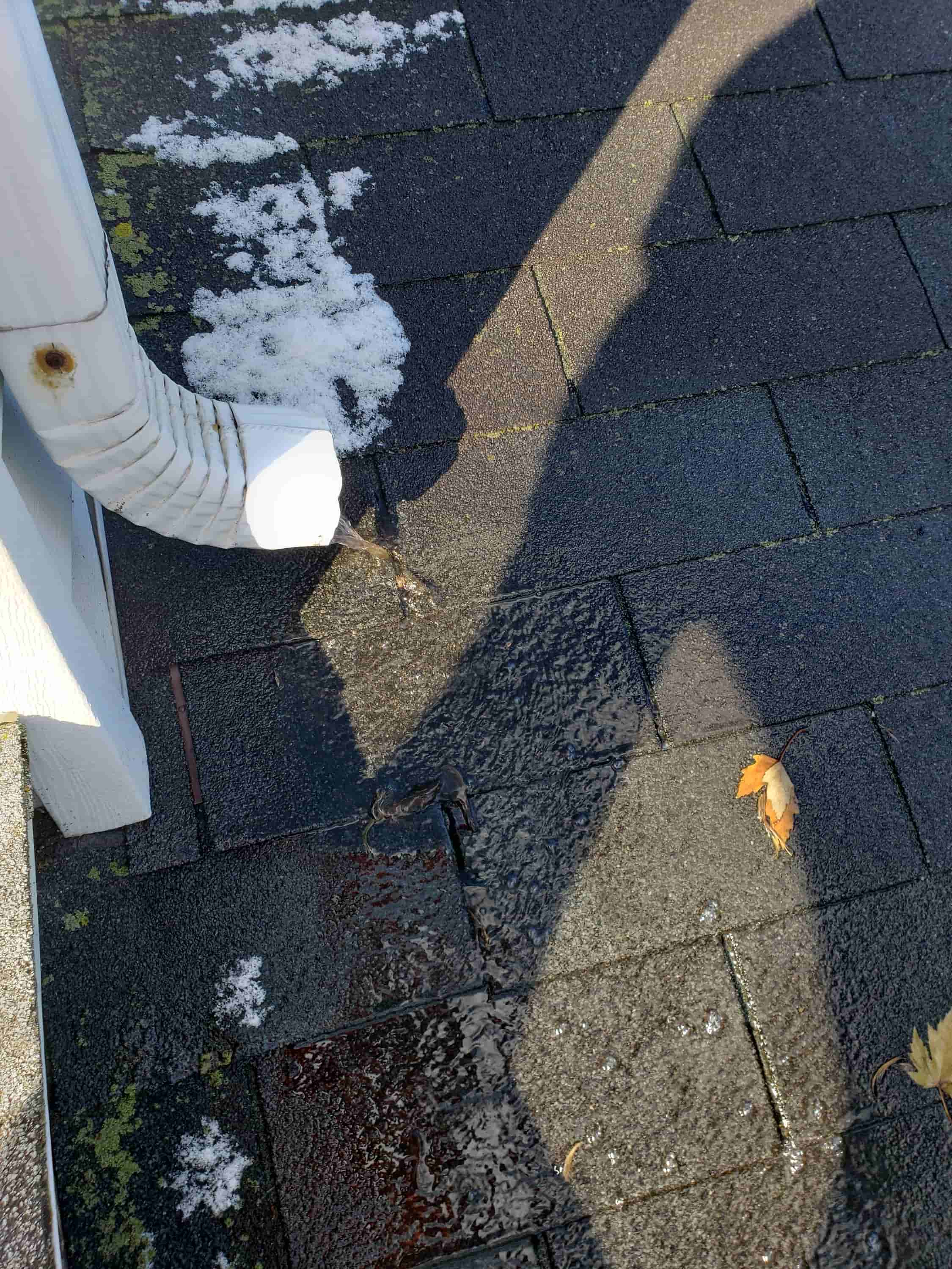 is gutter cleaning a good business