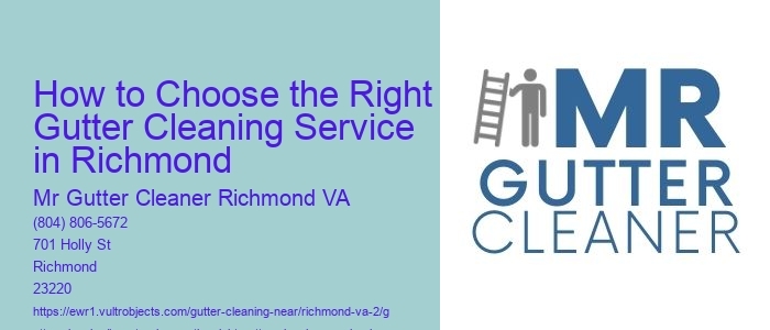 How to Choose the Right Gutter Cleaning Service in Richmond 
