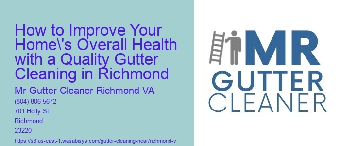 How to Improve Your Home's Overall Health with a Quality Gutter Cleaning in Richmond