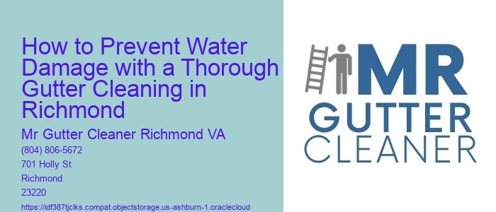 How to Prevent Water Damage with a Thorough Gutter Cleaning in Richmond