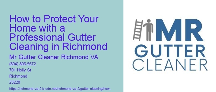 How to Protect Your Home with a Professional Gutter Cleaning in Richmond