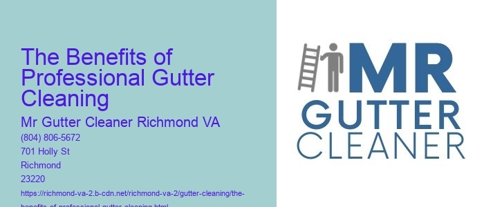 The Benefits of Professional Gutter Cleaning 