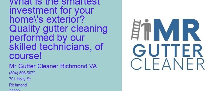 What is the smartest investment for your home's exterior? Quality gutter cleaning performed by our skilled technicians, of course!