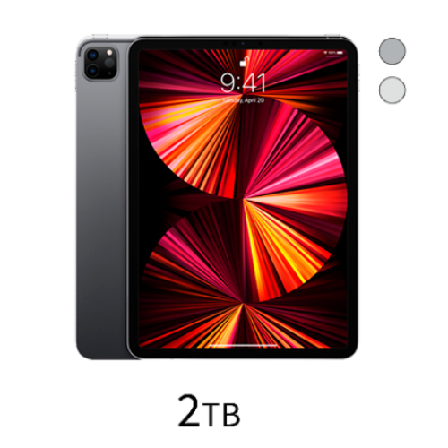 iPad Pro 11-inch Wi-Fi 2TB