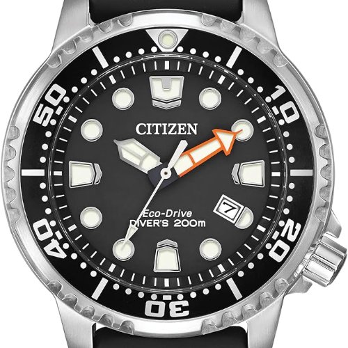 Citizen Protester Dive Eco Drive watch