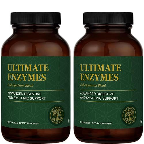 Global Healing Ultimate Enzymes - Digestive Enzyme Supplement - 120 Capsules (2-Pack) 