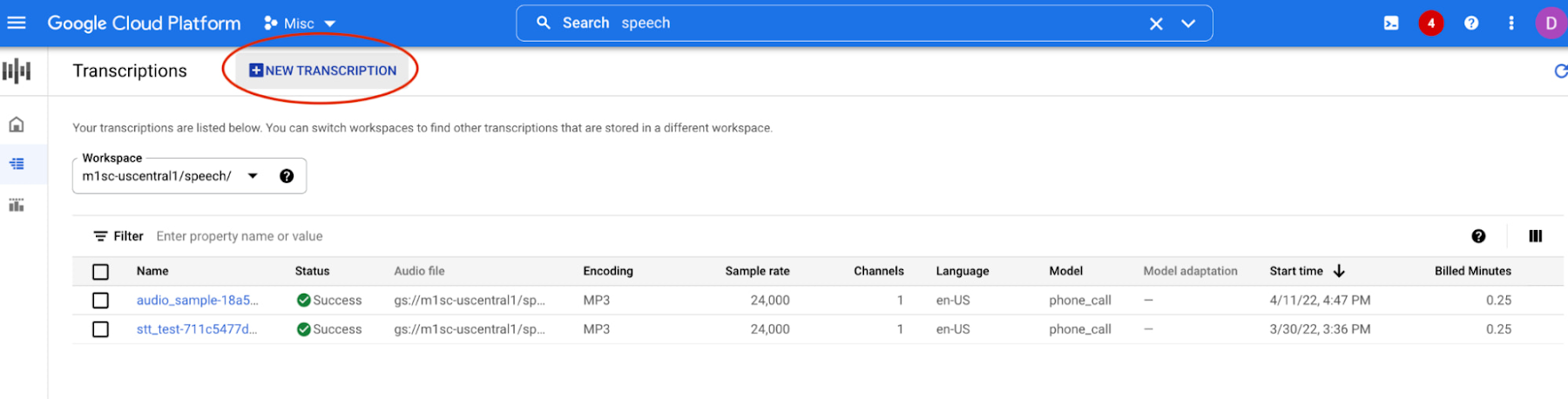 3 Speech on Google Cloud.jpg
