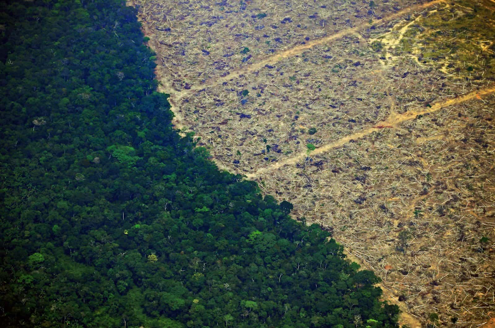 Deforested land in Brazil.jpg