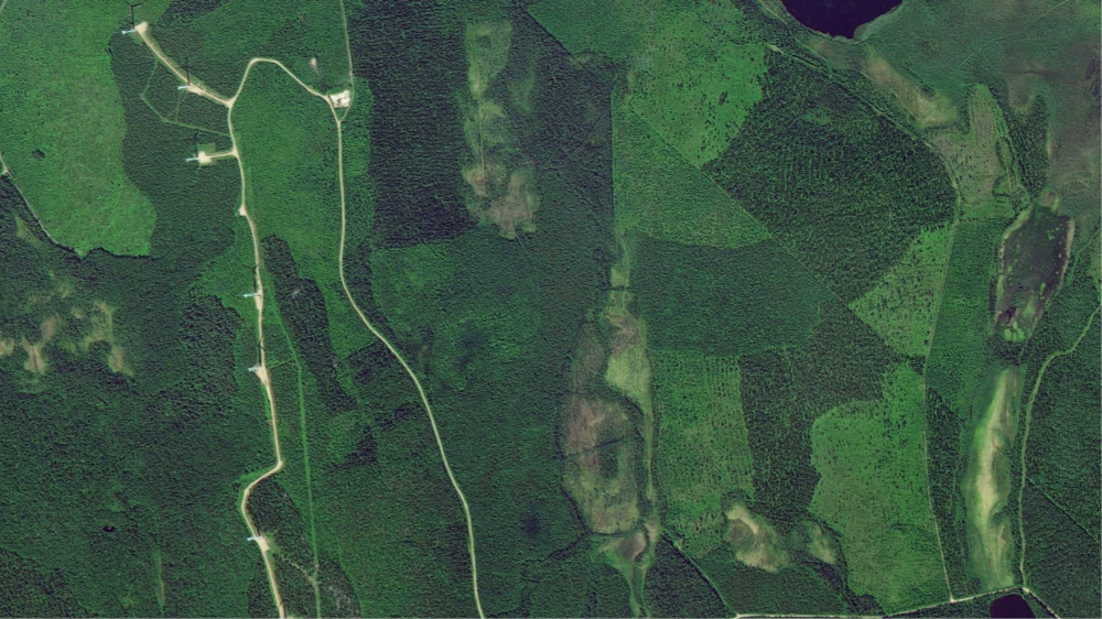 https://storage.googleapis.com/gweb-cloudblog-publish/images/EarthDayHeader.max-1000x1000.png