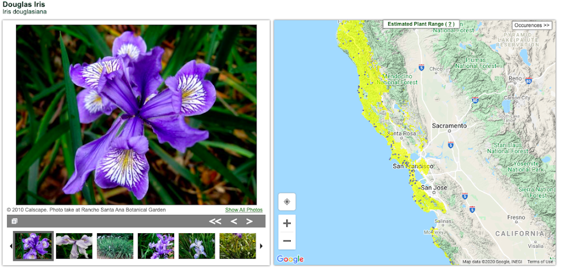 https://storage.googleapis.com/gweb-cloudblog-publish/images/Flower.max-1100x1100.png