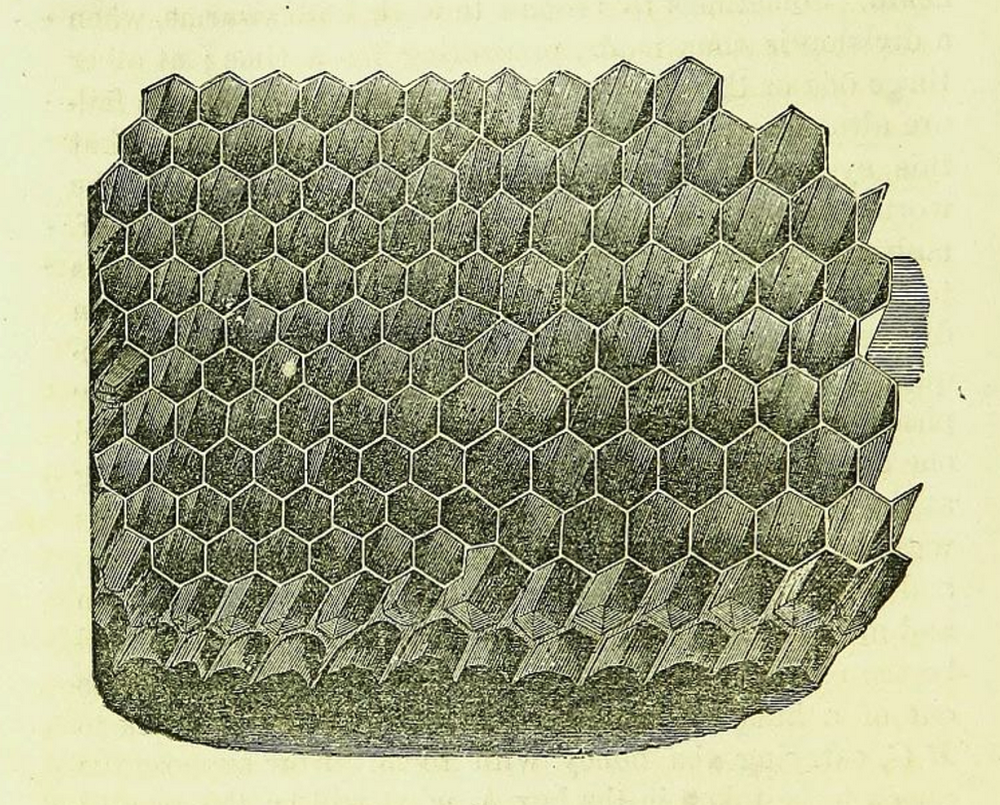 https://storage.googleapis.com/gweb-cloudblog-publish/images/Honeycomb_WikimediaCommons7i28.max-1000x1000.PNG