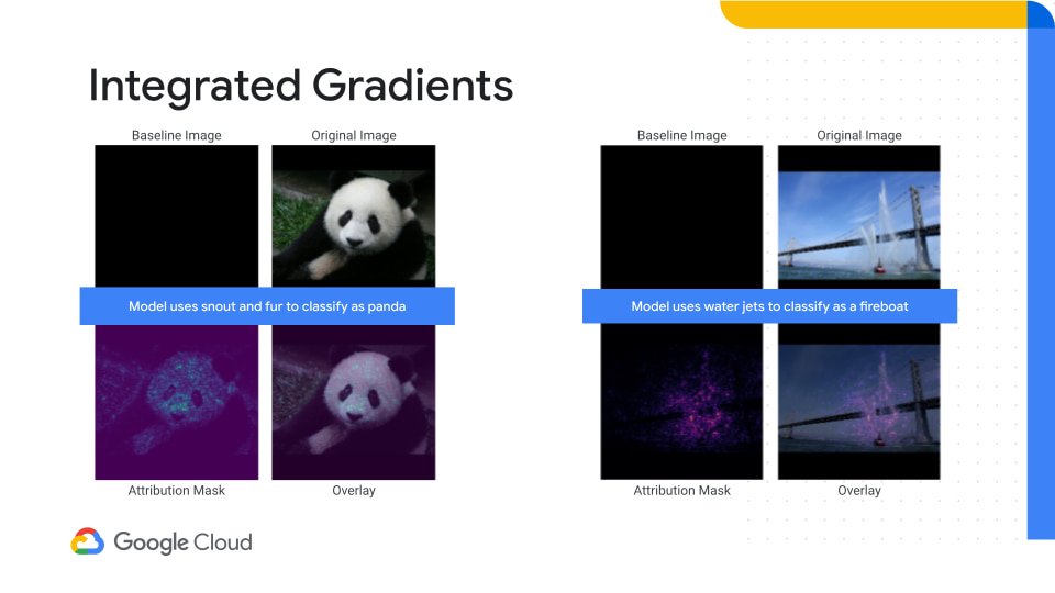 https://storage.googleapis.com/gweb-cloudblog-publish/images/Integrated_gradients.max-960x540.jpg