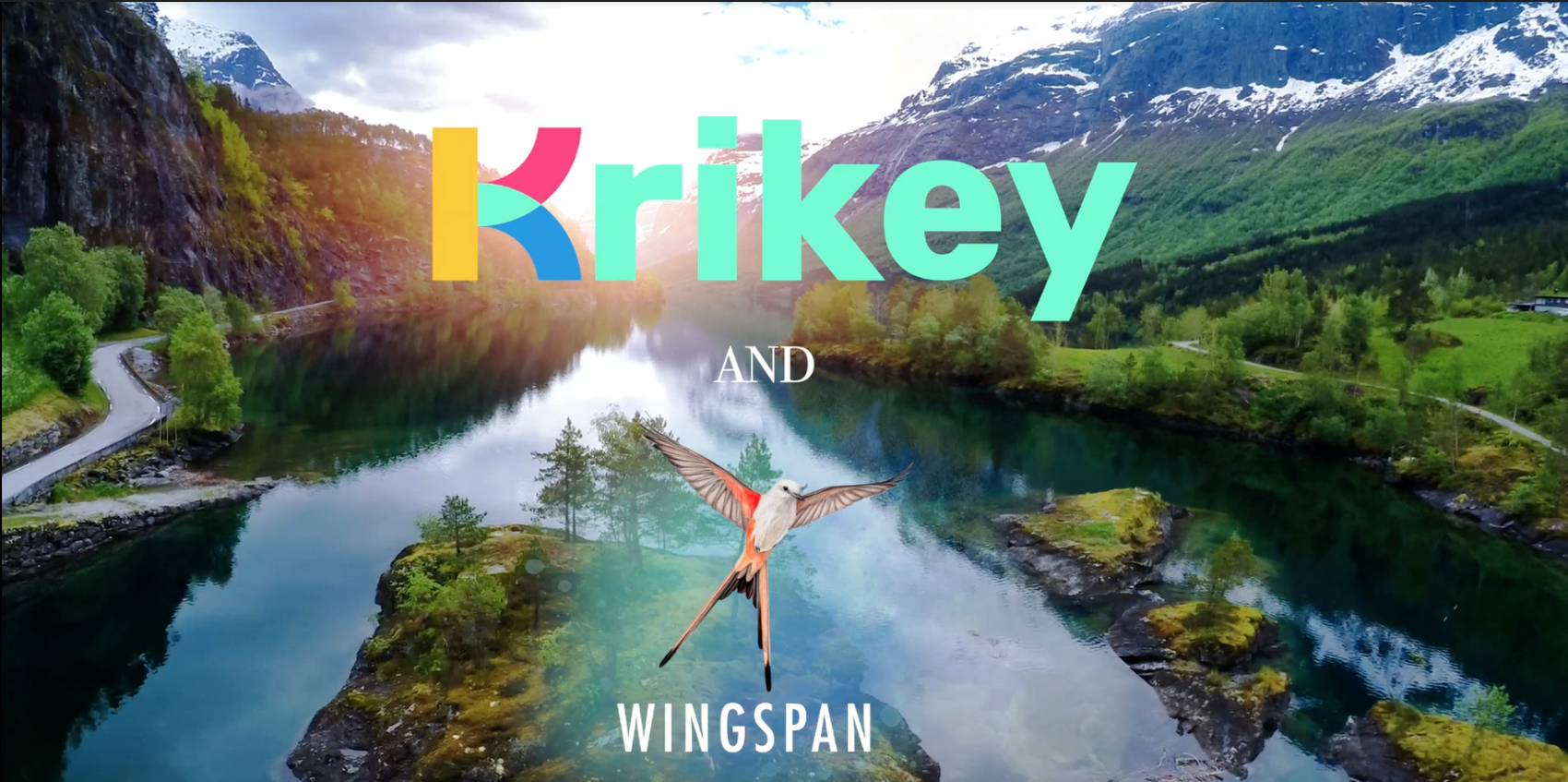 https://storage.googleapis.com/gweb-cloudblog-publish/images/Krikey.max-1700x1700.png