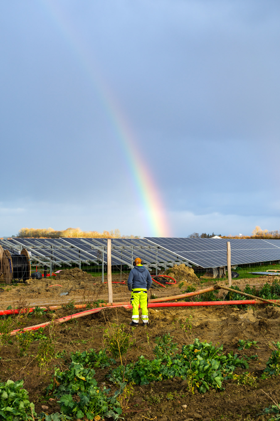 https://storage.googleapis.com/gweb-cloudblog-publish/images/Rodby_Fjord_solar_project_j01942M.max-1400x1400.jpg