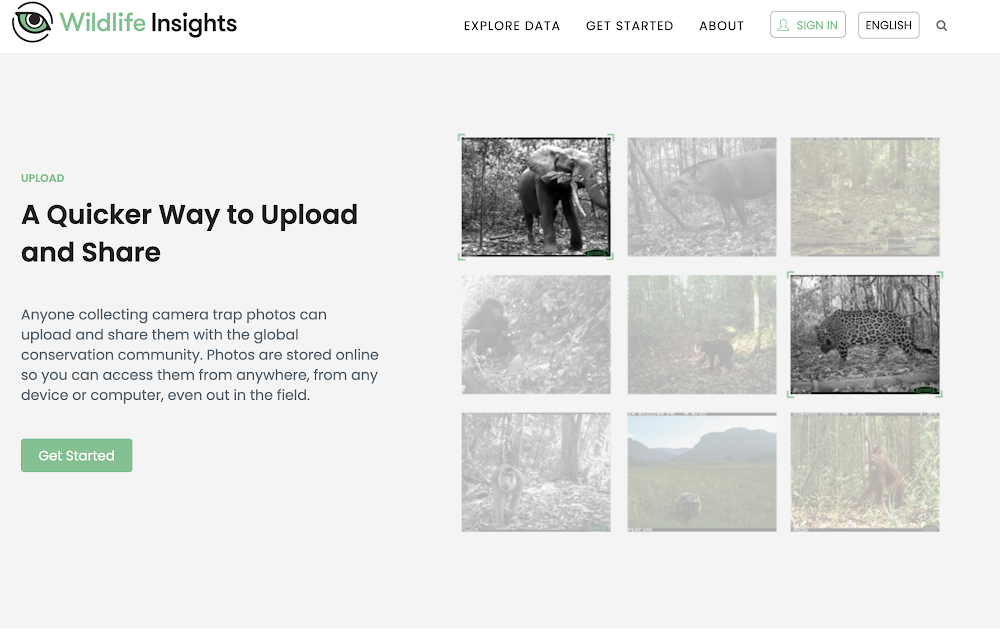 Wildlife Insights. Homepage