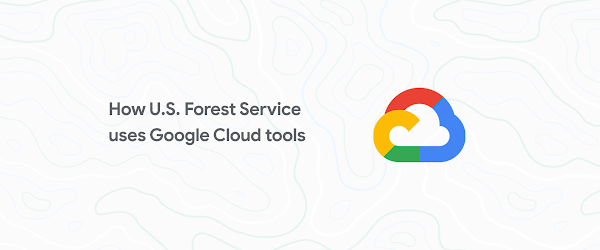 Picture this: How the U.S. Forest Service uses Google Cloud tools to analyze a changing planet