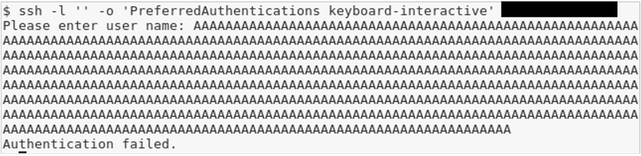 https://storage.googleapis.com/gweb-cloudblog-publish/images/buffer-overflow2_vluj.max-900x900.png