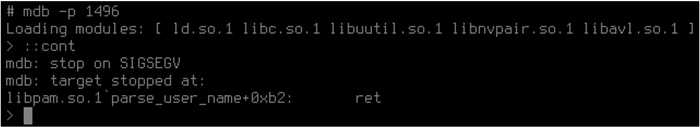 https://storage.googleapis.com/gweb-cloudblog-publish/images/buffer-overflow3_lfzo.max-700x700.png