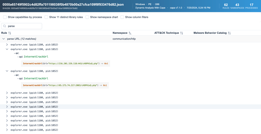 Dynamic analysis results in capa Explorer Web