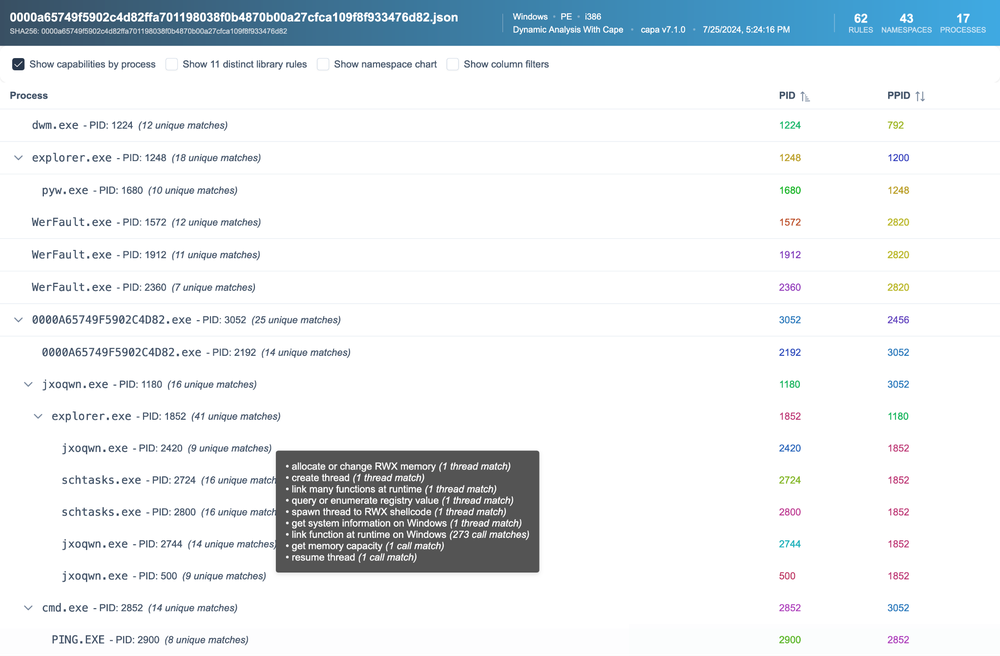 Dynamic analysis results grouped by process