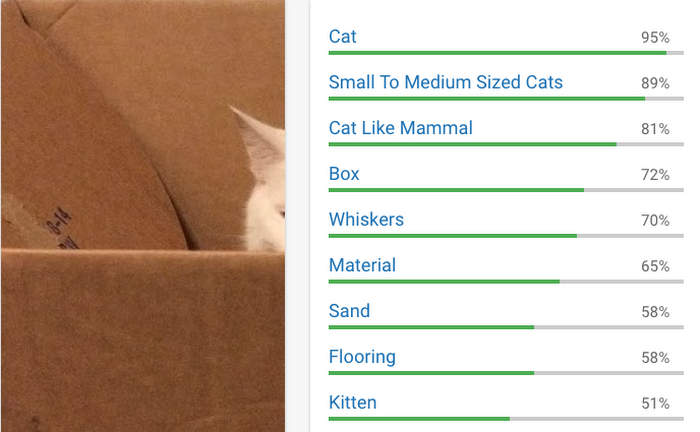 cloud_vision_api.png