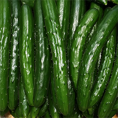 https://storage.googleapis.com/gweb-cloudblog-publish/images/cucumber-farmer-7922i.max-400x400.PNG