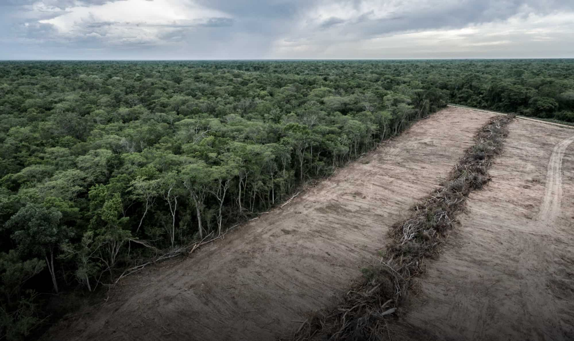 http://storage.googleapis.com/gweb-cloudblog-publish/images/deforestation_in_a_Bolivian_national_park.max-2000x2000.jpg